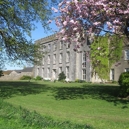 Ash Hill B & B Kilmallock Exteriör bild