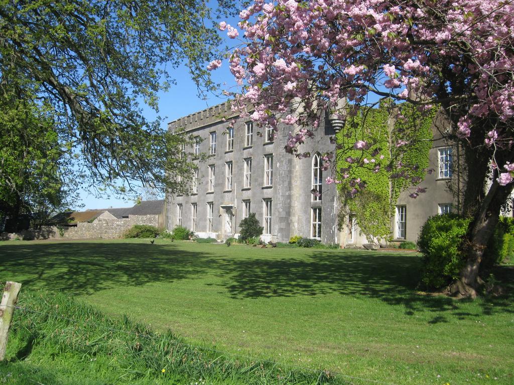 Ash Hill B & B Kilmallock Exteriör bild