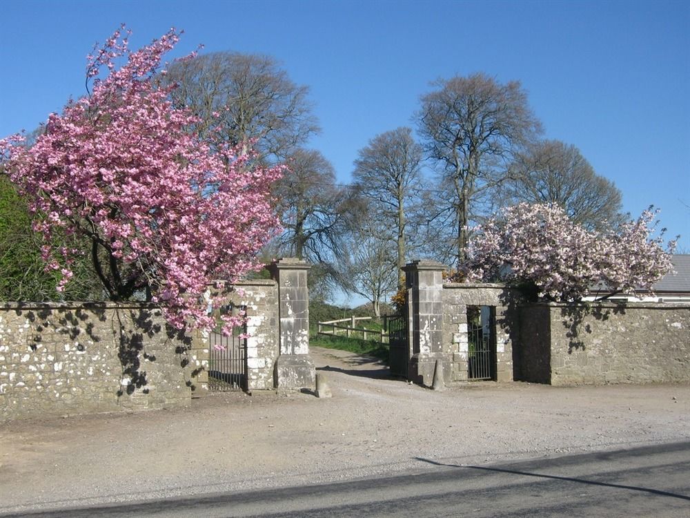 Ash Hill B & B Kilmallock Exteriör bild